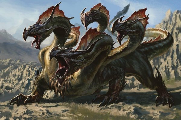 Как вывести деньги с kraken