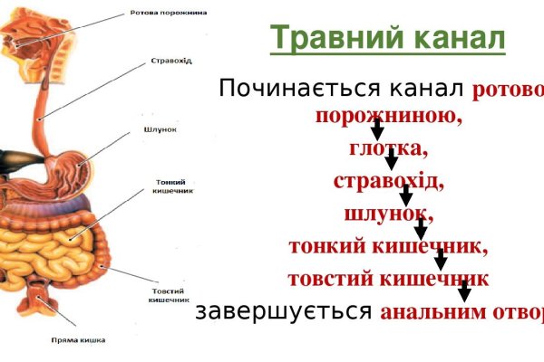 Ссылка кракен сайт зеркало