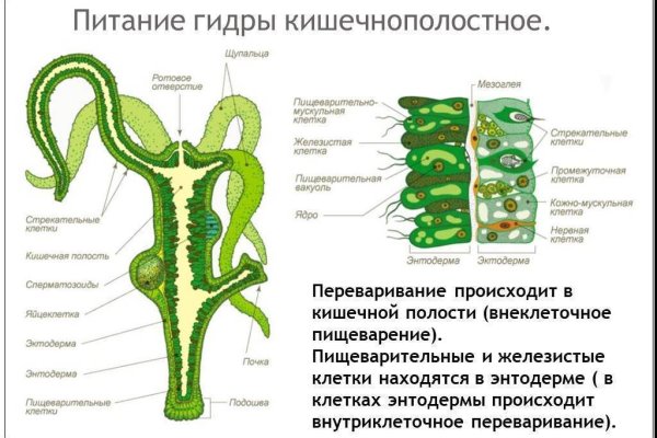 Кракен сайт ссылка