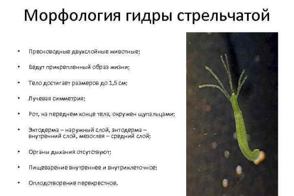 Кракен даркнет аккаунт