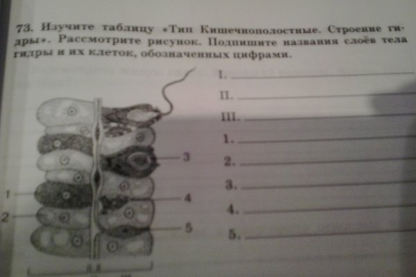 Найти зеркало кракена