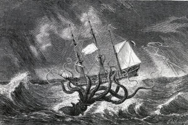 Kraken настоящая ссылка
