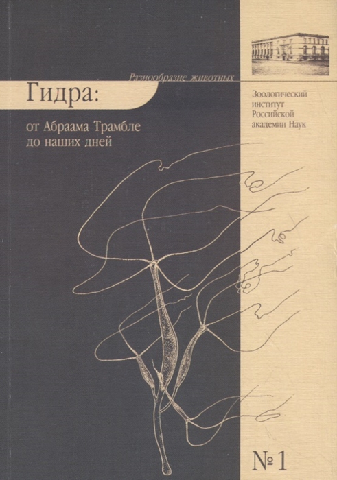 Что такое кракен только через тор