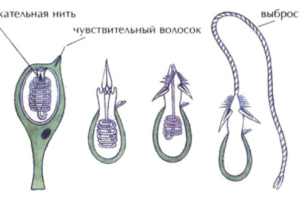 Kraken сайт зеркала