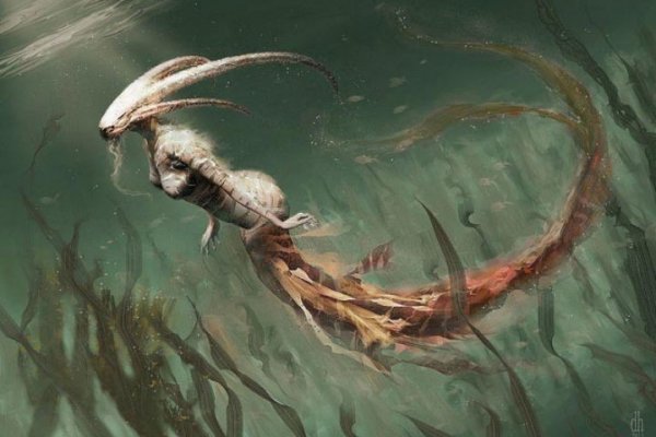 Kraken onion сайта
