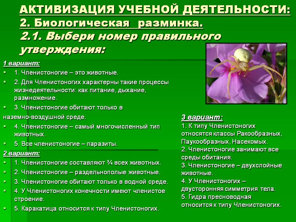 Аналог гидры