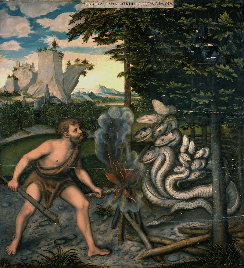 Kraken link